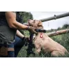 Tactical Airtag Beam Leather fekete tok-8596311151910 4 kép