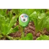 RainPoint nedvességmérő (DA01)-5907085528670 4 kép