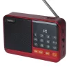Setty mini FM rádió + Bluetooth hangszóró SFM-01M-5907504568546 1 kép
