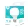 Forever Light LED E27 G95 Izzó 10W 230V 4500K