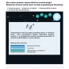 Shark Elő és hátlapi öngyógyító fólia Samsung A50-9111201895744 7 kép