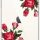 Samsung S20+ Plus Babaco Flowers tok átlátszó-5903537758909 1 kép