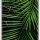 iPhone 12 Pro Max Babaco Plants tok zöld