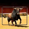 ESR 9H kijelzővédő üvegfólia iPad Pro 11 2018-4894240069431 3 kép