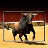 ESR 9H kijelzővédő üvegfólia iPad Pro 11 2018-4894240069431 3 kép
