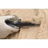Garrett Pro-Pointer II Kézi Fémdetektor-786156004610 7 kép