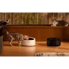 Petlibro Polar intelligens kisállat-etető-0754932368621 5 kép