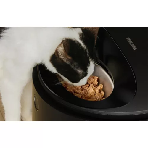 Petlibro Polar intelligens kisállat-etető-0754932368621 6 kép
