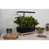 RainPoint hidroponikus termesztőkészlet fa alappal  Z238 Barna/feket-5905156104624 2 kép