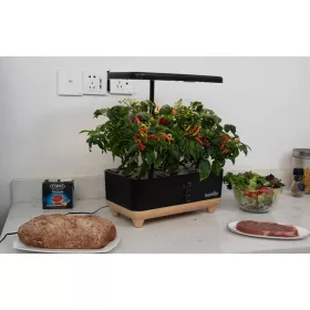 RainPoint hidroponikus termesztőkészlet fa alappal  Z238 Barna/feket-5905156104624 2 kép