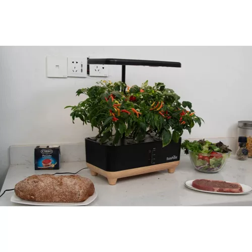 RainPoint hidroponikus termesztőkészlet fa alappal  Z238 Barna/feket-5905156104624 2 kép
