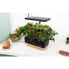 RainPoint hidroponikus termesztőkészlet fa alappal  Z238 Barna/feket-5905156104624 3 kép