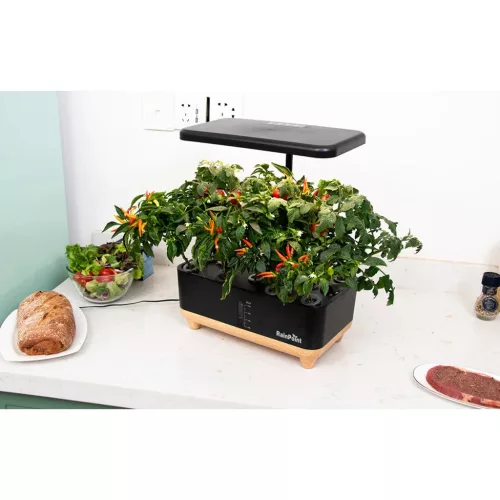 RainPoint hidroponikus termesztőkészlet fa alappal  Z238 Barna/feket-5905156104624 3 kép