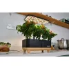 RainPoint hidroponikus termesztőkészlet fa alappal  Z238 Barna/feket-5905156104624 4 kép